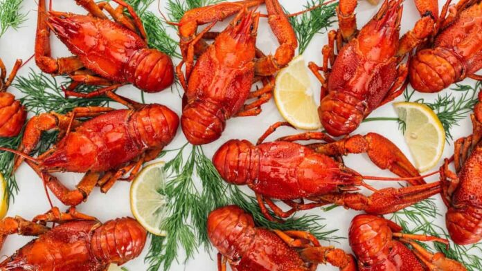 12 Foods Every Foodie Needs to Try at Least Once