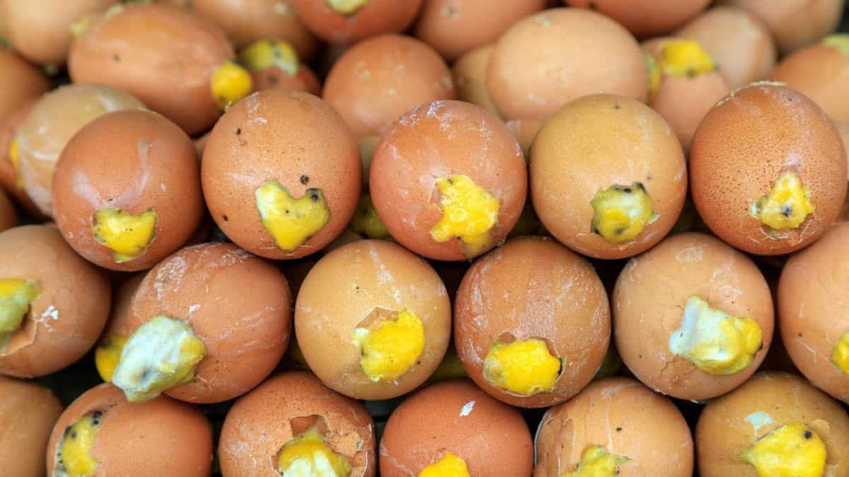 Balut est un œuf embryonnaire fécondé en développement qui est bouilli ou cuit à la vapeur et mangé dans sa coquille. C'est de la nourriture de rue en Chine du Sud, aux Philippines, au Cambodge et au Vietnam.
