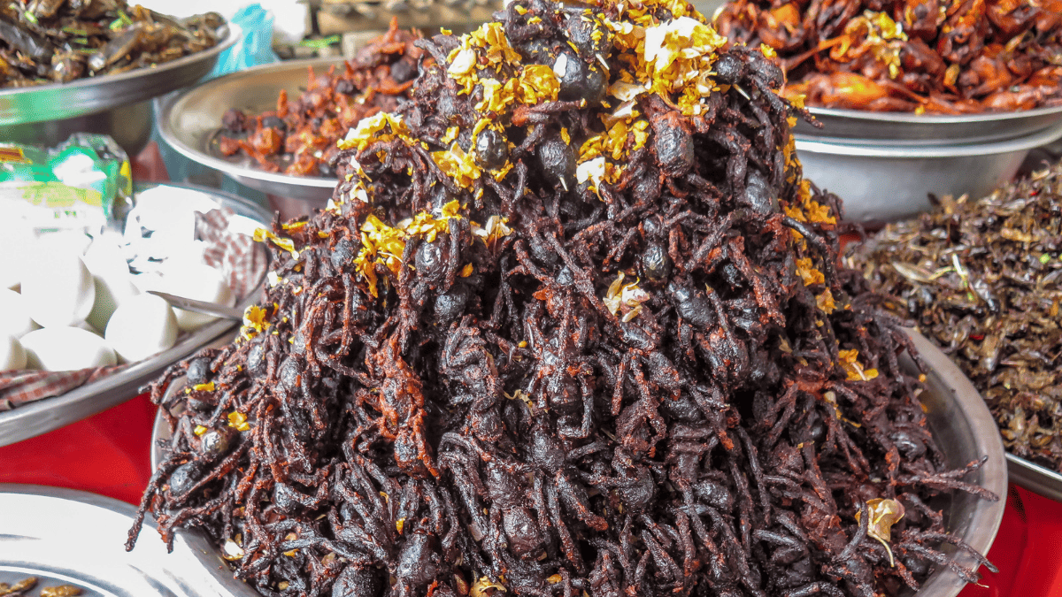 Un tas d'araignées frites.