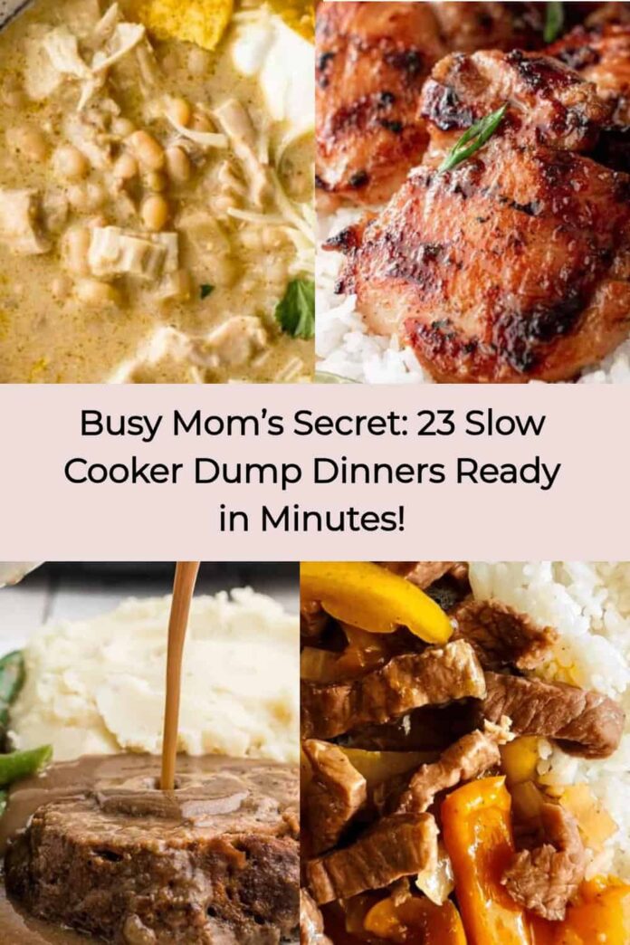 23 Slow Cooker Dump Meals That Will Change Your Dinner Game