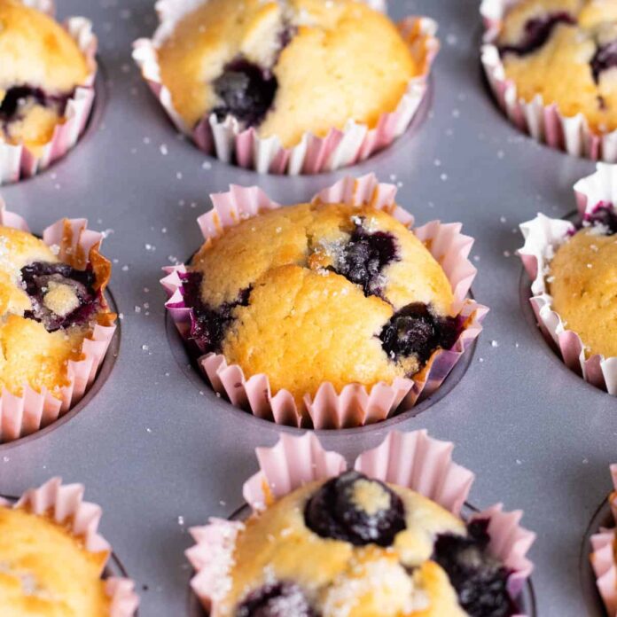 Mini blueberry muffins.