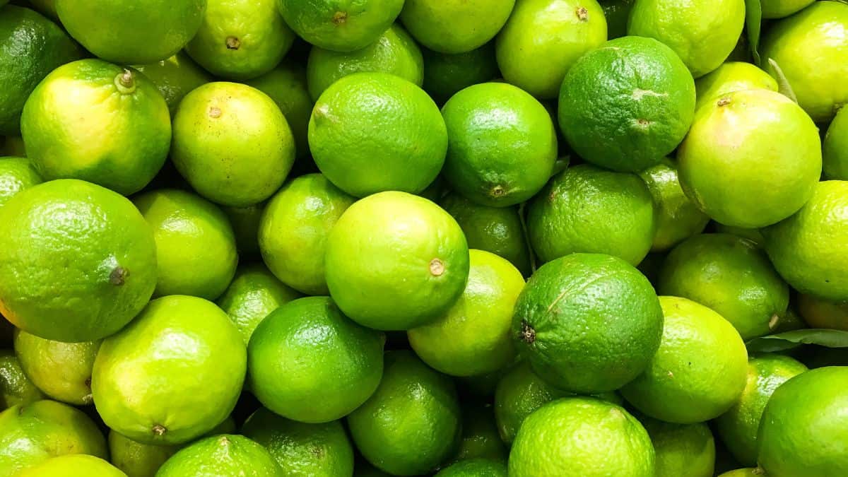 Citrons verts.