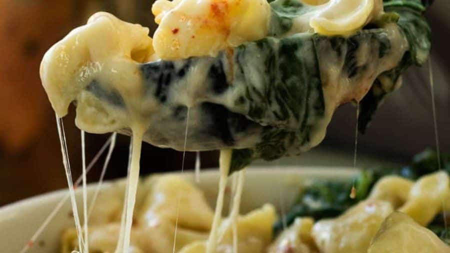 28 Casseroles Économiques pour Nourrir Toute la Famille 28 Casseroles That Feed the Whole Family on a Budget
